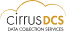 Custom API Integration